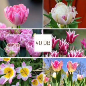 Rózsaszín Mese - Mini Csomag