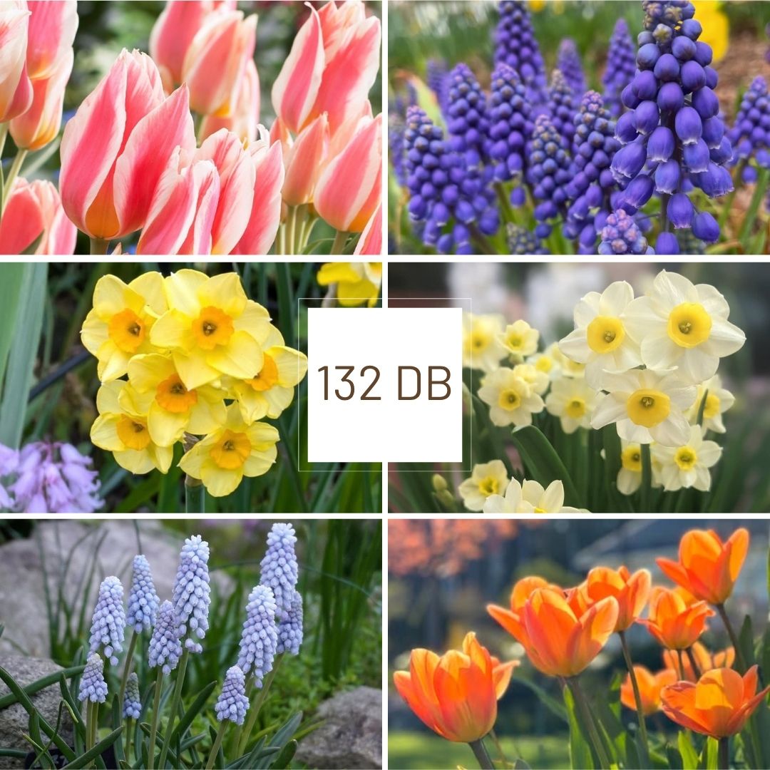 Tavaszi Harmónia 2.0. - Maxi Csomag 1 Tavaszi Harmónia 2.0. - Maxi Csomag