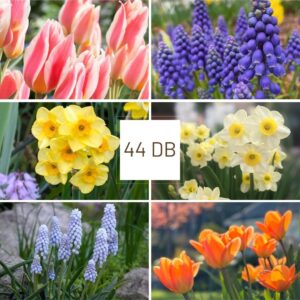 Tavaszi Harmónia 2.0. - Mini Csomag