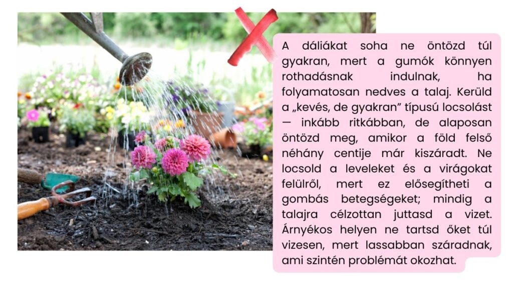 daliak ultetese es gondozasa 05