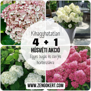 4+1 Húsvéti ajánlat